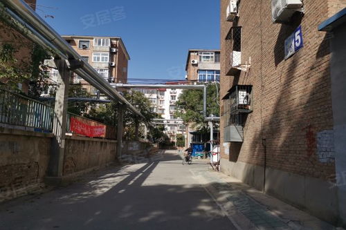 南廠住宅東區(qū)居住體驗(yàn)全解析 優(yōu)缺點(diǎn)、現(xiàn)狀與周邊中介評(píng)價(jià)
